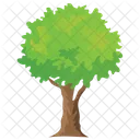 Shrub Tree  Icon