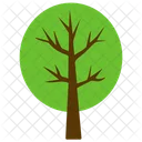 Shrub Tree  Icon