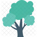 Cypress Tree Shrub Icon