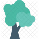 Cypress Tree Shrub Icon
