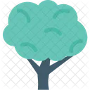 Cypress Tree Shrub Icon