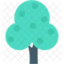 Cypress Tree Shrub Icon
