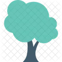 Cypress Tree Shrub Icon