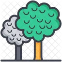 Trees Shrubbery Ecology Icon