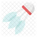 Shuttlecock  Icon
