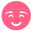Shy Smiley Smile Icon