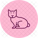 Siamese Cat Siamesecat Cat Icon
