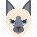 Siamese Cat Icon