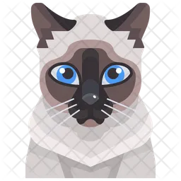 Siamese Cat  Icon