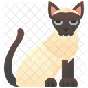 Siamese Cat  Icon
