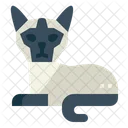 Siamese Cat  Icon
