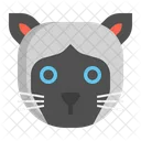 Siamese Cat Pet Cat Cat Icon