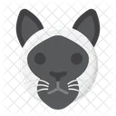 Siamese Cat Pet Cat Cat Icon