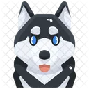 Siberian Husky  Icon