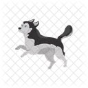 Husky Dog Siberian Icon