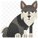 Siberiano  Ícone