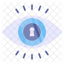 Sicherheitsüberwachung  Icon