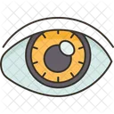 Sight Vision Perspective Icon