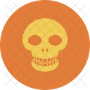 Signs Skull Dangerous Icon
