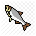 Silberkarpfenfisch  Symbol