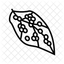 Silkworm Eggs  Icon