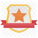Silver Shield Badge Icon
