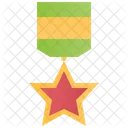 Silver Star Medal Icon