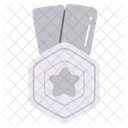 Silver hexagon  Icon