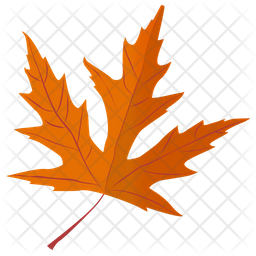 Silver Maple Icon