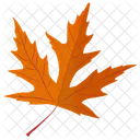 Silver Maple Maple Leaf Autumn Leaf Icon