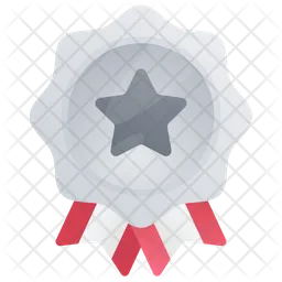 Silver Medal  Icon