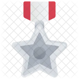 Silver Medal  Icon