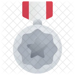 Silver Medal  Icon