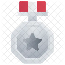 Silver Medal  Icon