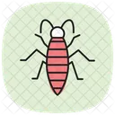 Silverfish Insect Silverish Icon