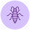 Silverfish Insect Silverish Icon