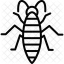 Silverfish Insect Silverish Icon