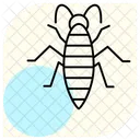 Silverfish Insect Silverish Icon