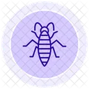 Silverfish Insect Silverish Icon