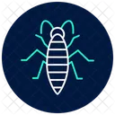 Silverfish Insect Silverish Icon