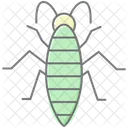 Silverfish Insect Silverish Icon