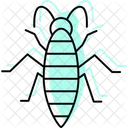 Silverfish Insect Silverish Icon