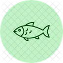 Silverside Ocean Marine Icon