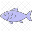 Silverside Ocean Marine Icon