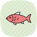 Silverside Ocean Marine Icon