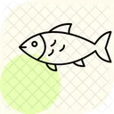 Silverside Ocean Marine Icon