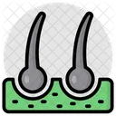 Simbolo Masculino Signo Masculino Sexo Icono