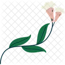 Flower Bloom Blossom Icon