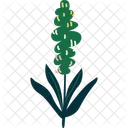 Flower Bloom Blossom Icon