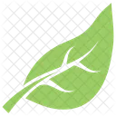 Shape Simple Botanical Icon